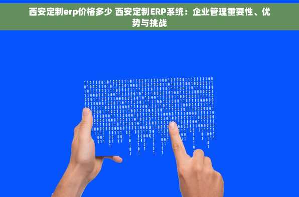 西安定制erp价格多少 西安定制ERP系统：企业管理重要性、优势与挑战