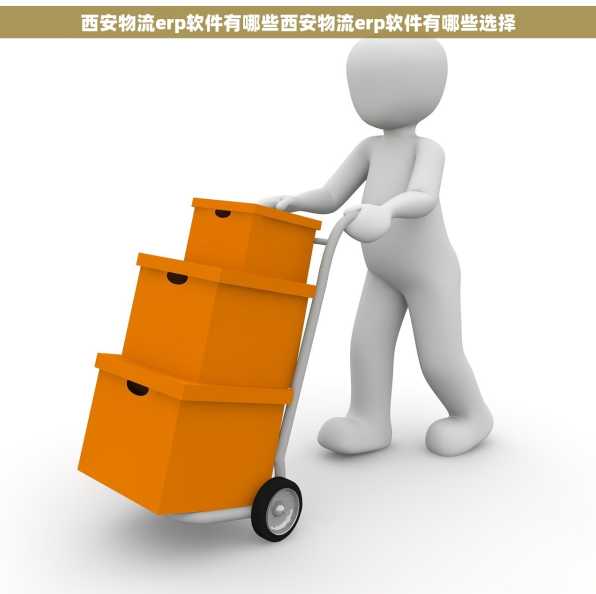 西安物流erp软件有哪些西安物流erp软件有哪些选择