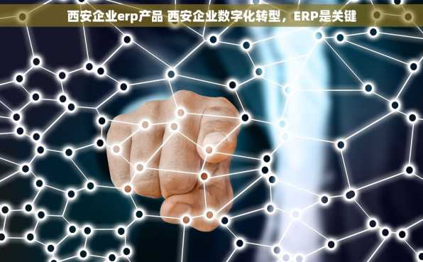 西安企业erp产品 西安企业数字化转型，ERP是关键