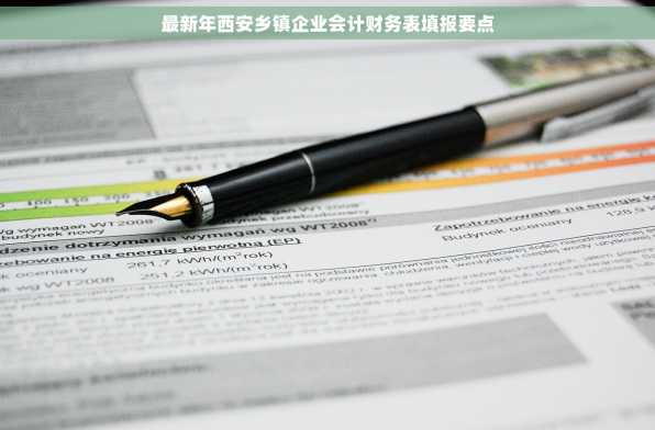 最新年西安乡镇企业会计财务表填报要点