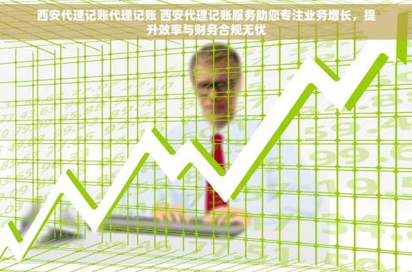 西安代理记账代理记账 西安代理记账服务助您专注业务增长，提升效率与财务合规无忧