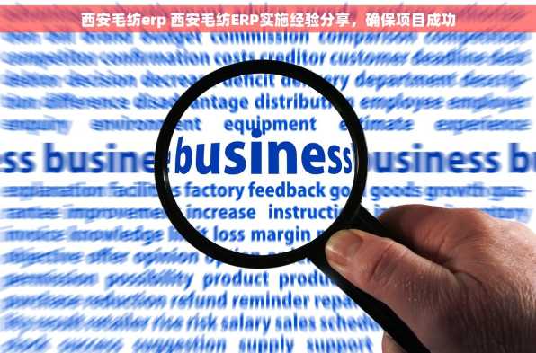 西安毛纺erp 西安毛纺ERP实施经验分享，确保项目成功