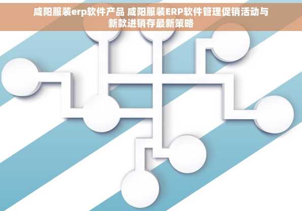 咸阳服装erp软件产品 咸阳服装ERP软件管理促销活动与新款进销存最新策略