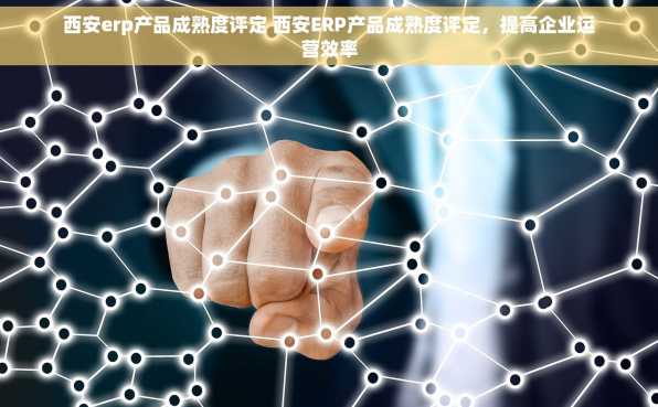 西安erp产品成熟度评定 西安ERP产品成熟度评定，提高企业运营效率