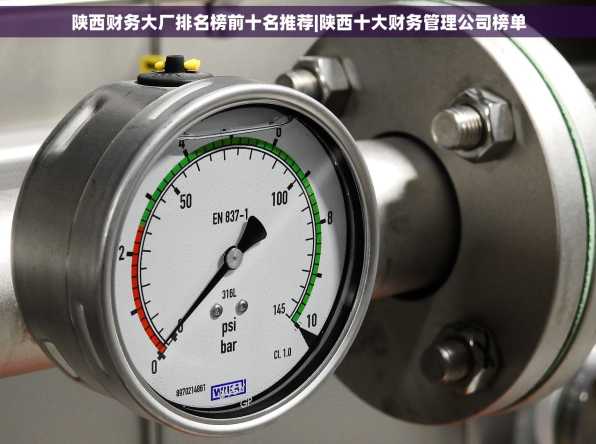 陕西财务大厂排名榜前十名推荐|陕西十大财务管理公司榜单