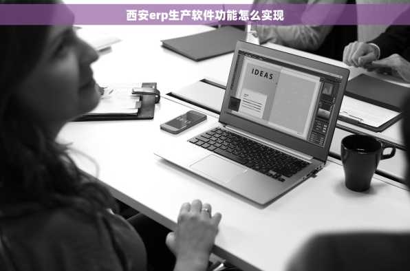 西安erp生产软件功能怎么实现