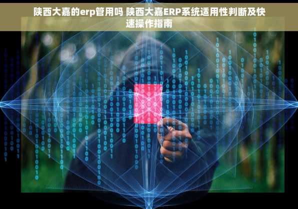 陕西大嘉的erp管用吗 陕西大嘉ERP系统适用性判断及快速操作指南