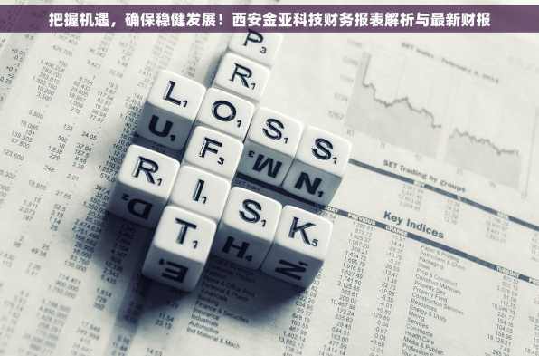 把握机遇，确保稳健发展！西安金亚科技财务报表解析与最新财报