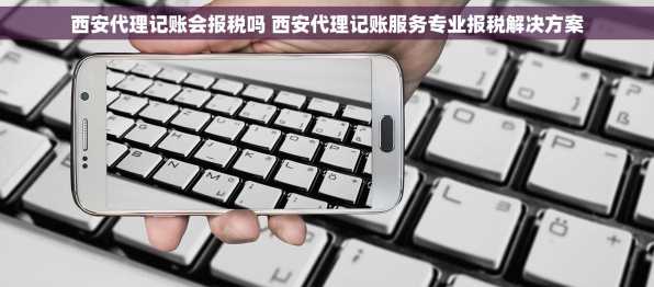 西安代理记账会报税吗 西安代理记账服务专业报税解决方案