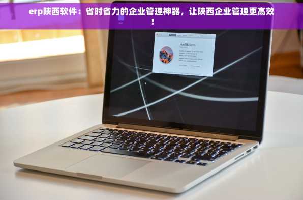 erp陕西软件：省时省力的企业管理神器，让陕西企业管理更高效！