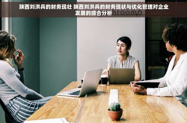 陕西刘洪兵的财务现壮 陕西刘洪兵的财务现状与优化管理对企业发展的综合分析