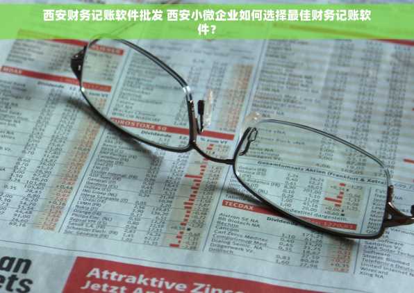 西安财务记账软件批发 西安小微企业如何选择最佳财务记账软件？