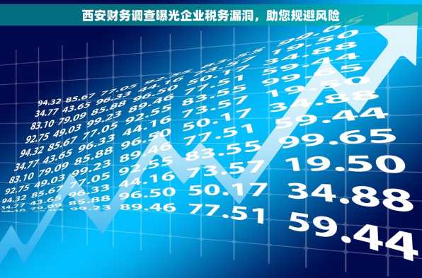 西安财务调查曝光企业税务漏洞，助您规避风险
