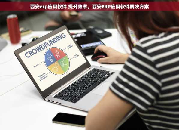 西安erp应用软件 提升效率，西安ERP应用软件解决方案