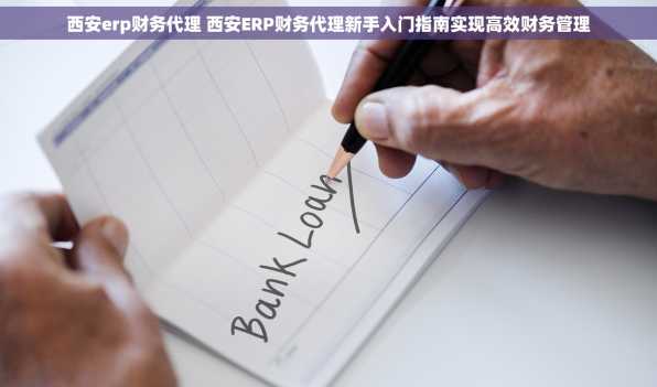 西安erp财务代理 西安ERP财务代理新手入门指南实现高效财务管理