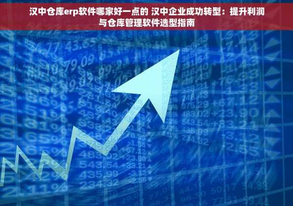 汉中仓库erp软件哪家好一点的 汉中企业成功转型：提升利润与仓库管理软件选型指南