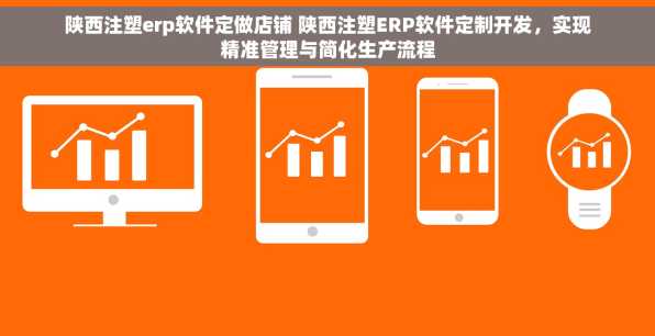 陕西注塑erp软件定做店铺 陕西注塑ERP软件定制开发，实现精准管理与简化生产流程
