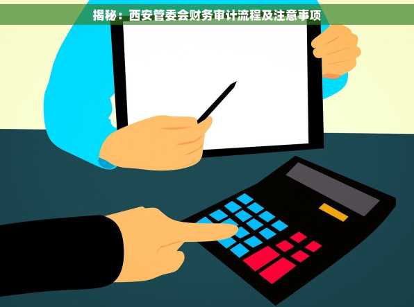 揭秘：西安管委会财务审计流程及注意事项