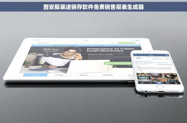 西安服装进销存软件免费销售报表生成器