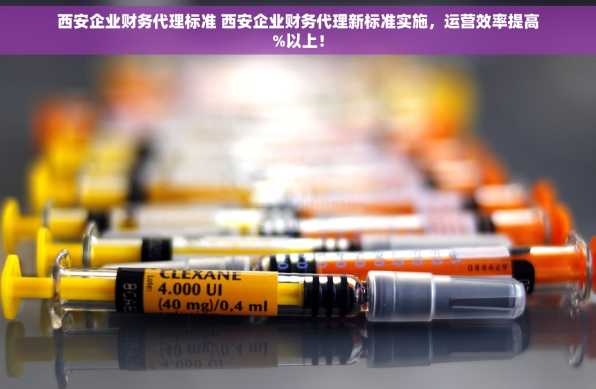 西安企业财务代理标准 西安企业财务代理新标准实施，运营效率提高%以上！