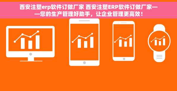 西安注塑erp软件订做厂家 西安注塑ERP软件订做厂家——您的生产管理好助手，让企业管理更高效！
