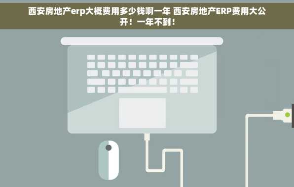 西安房地产erp大概费用多少钱啊一年 西安房地产ERP费用大公开！一年不到！