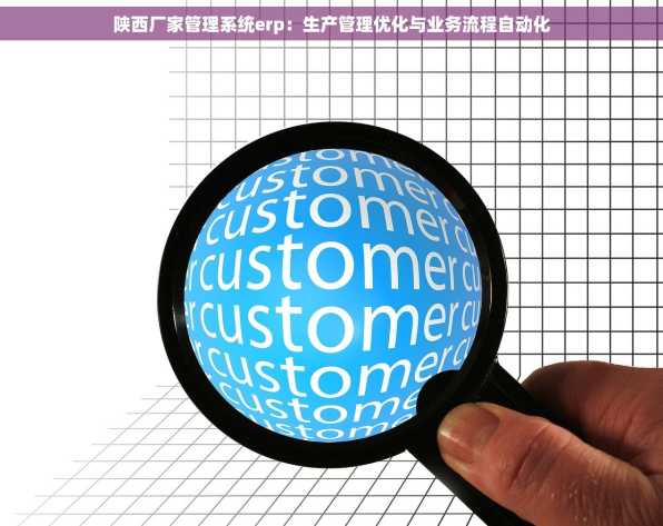 陕西厂家管理系统erp：生产管理优化与业务流程自动化