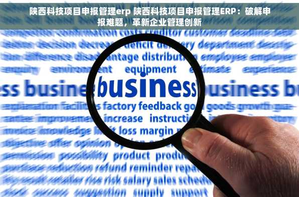 陕西科技项目申报管理erp 陕西科技项目申报管理ERP：破解申报难题，革新企业管理创新