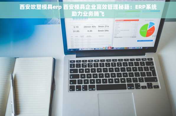 西安吹塑模具erp 西安模具企业高效管理秘籍：ERP系统助力业务腾飞