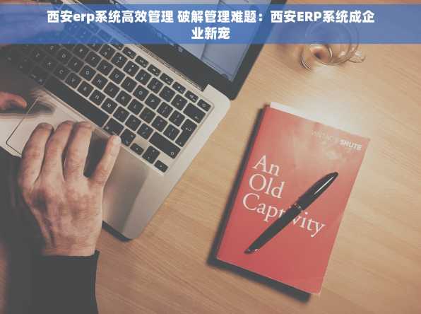 西安erp系统高效管理 破解管理难题：西安ERP系统成企业新宠