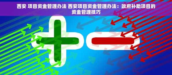 西安 项目资金管理办法 西安项目资金管理办法：政府补助项目的资金管理技巧