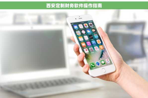 西安定制财务软件操作指南