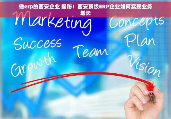 做erp的西安企业 揭秘！西安顶级ERP企业如何实现业务增长
