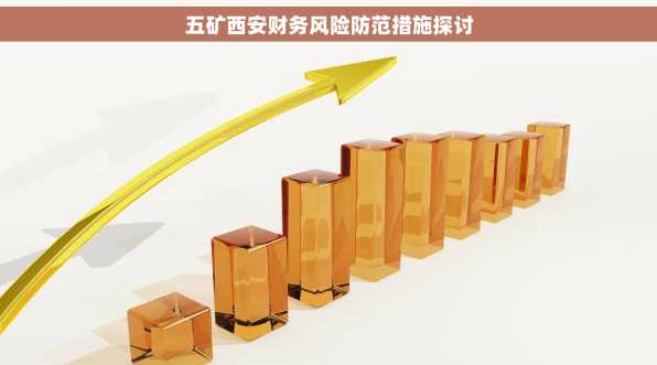 五矿西安财务风险防范措施探讨
