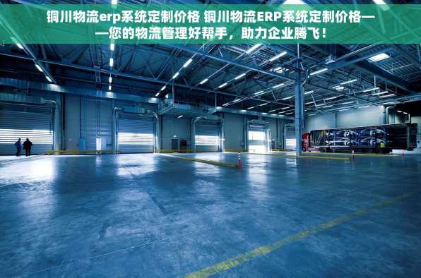 铜川物流erp系统定制价格 铜川物流ERP系统定制价格——您的物流管理好帮手，助力企业腾飞！