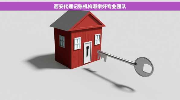 西安代理记账机构哪家好专业团队