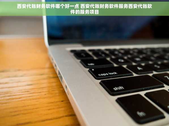 西安代账财务软件哪个好一点 西安代账财务软件服务西安代账软件的服务项目