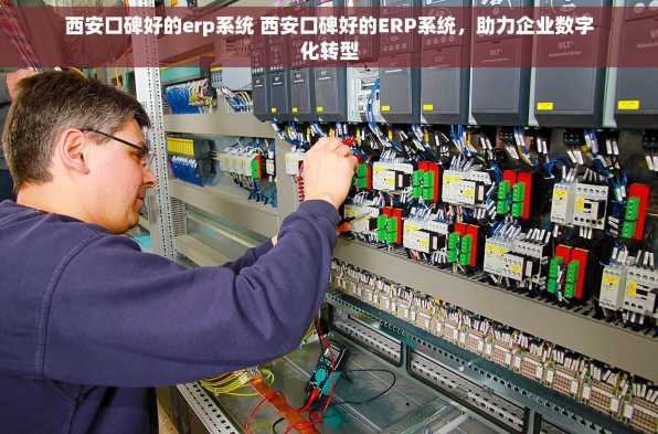西安口碑好的erp系统 西安口碑好的ERP系统，助力企业数字化转型