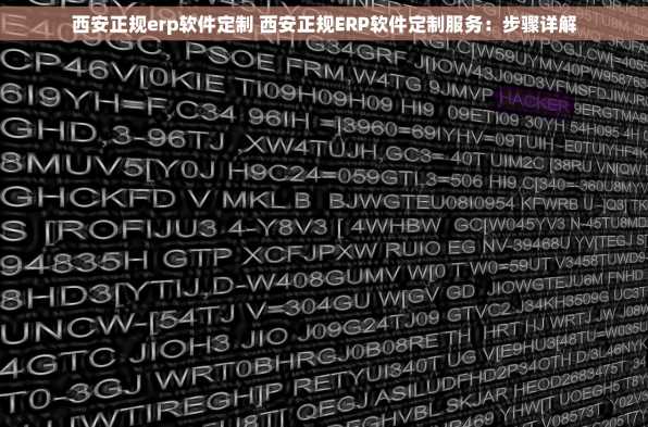 西安正规erp软件定制 西安正规ERP软件定制服务：步骤详解