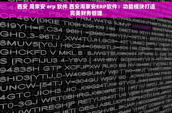 西安 周家安 erp 软件 西安周家安ERP软件：功能模块打造完美财务管理