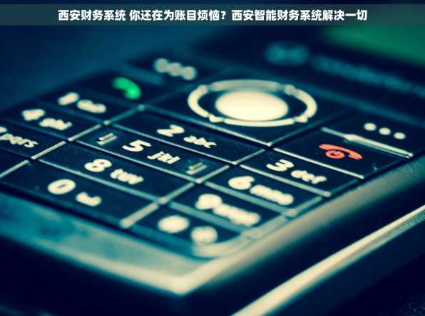 西安财务系统 你还在为账目烦恼？西安智能财务系统解决一切