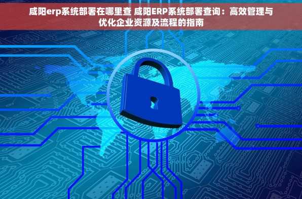 咸阳erp系统部署在哪里查 咸阳ERP系统部署查询：高效管理与优化企业资源及流程的指南