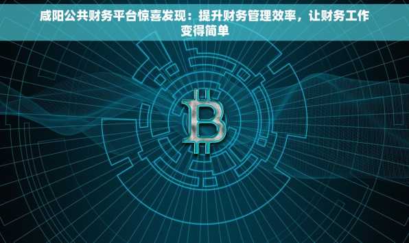 咸阳公共财务平台惊喜发现：提升财务管理效率，让财务工作变得简单