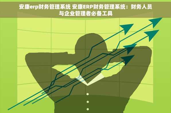 安康erp财务管理系统 安康ERP财务管理系统：财务人员与企业管理者必备工具