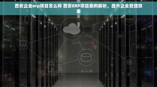 西安企业erp项目怎么样 西安ERP项目案例解析，提升企业管理效率