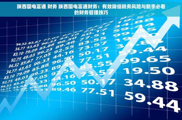 陕西国电富通 财务 陕西国电富通财务：有效降低税务风险与新手必看的财务管理技巧