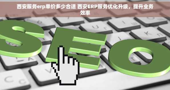 西安服务erp单价多少合适 西安ERP服务优化升级，提升业务效率