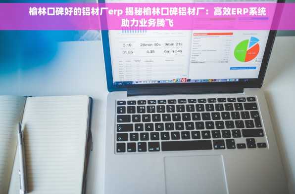 榆林口碑好的铝材厂erp 揭秘榆林口碑铝材厂：高效ERP系统助力业务腾飞