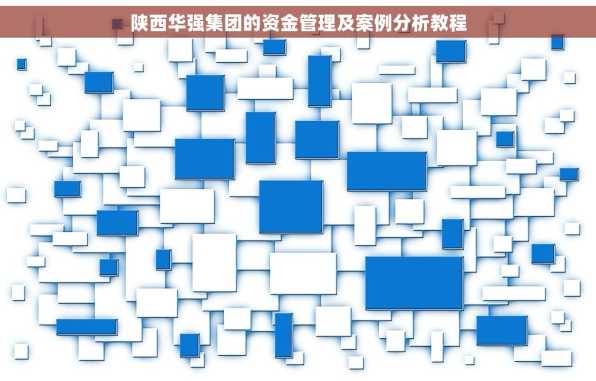 陕西华强集团的资金管理及案例分析教程