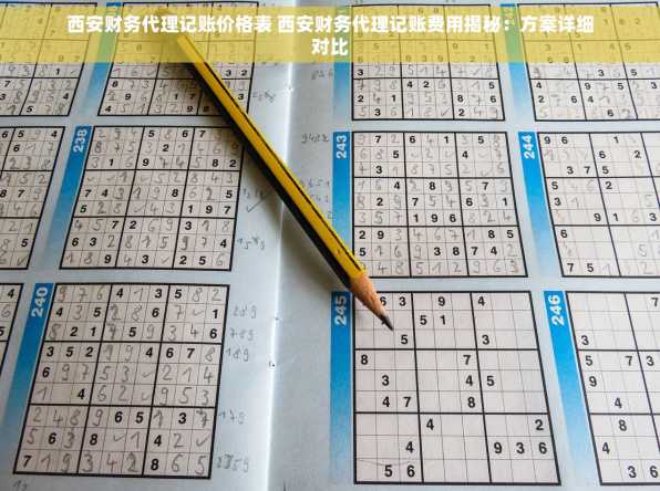 西安财务代理记账价格表 西安财务代理记账费用揭秘：方案详细对比